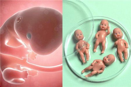 好孕故事